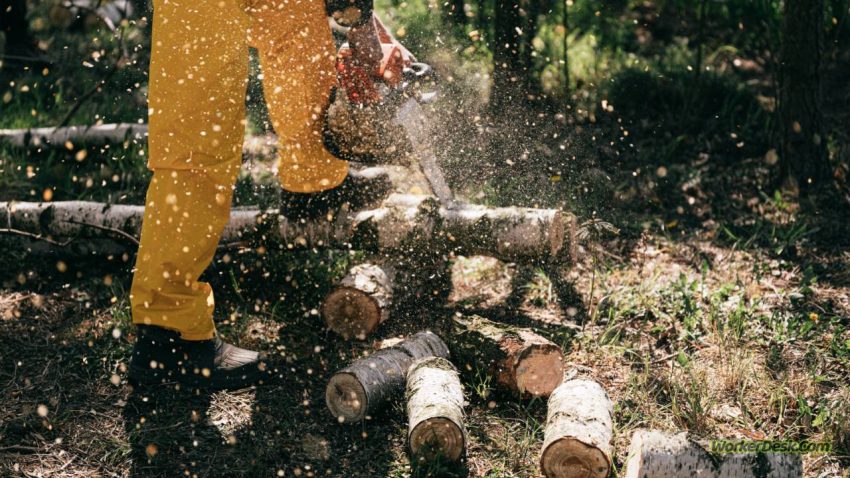 How To Bid Forestry Mulching Jobs